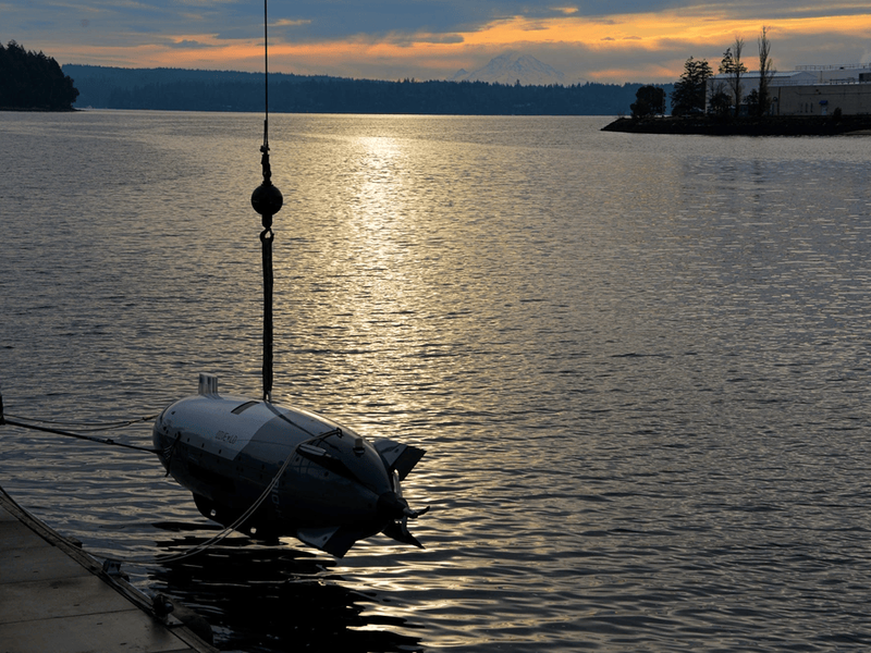 Irán recuperó un vehículo submarino no tripulado estadounidense en el Estrecho de Ormuz