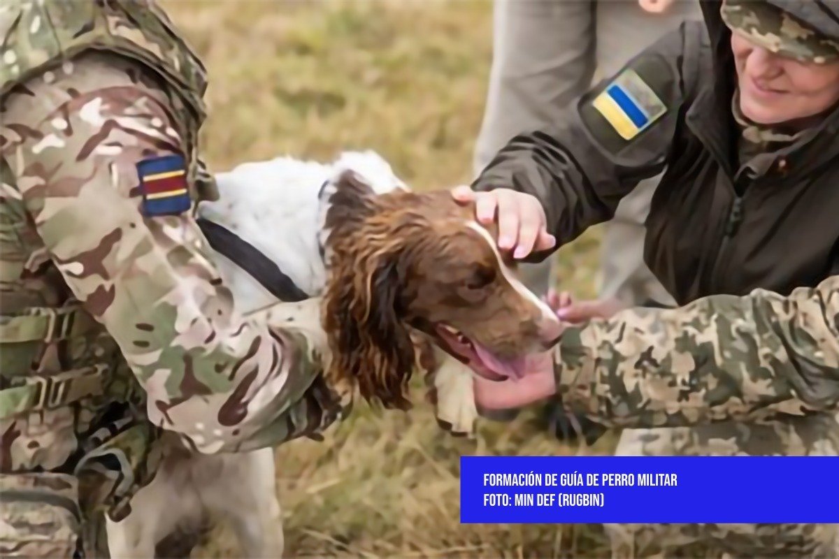 Ejército de Reino Unido entrena adiestradores de perros militares de Ucrania